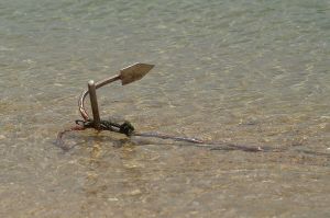 砂浜