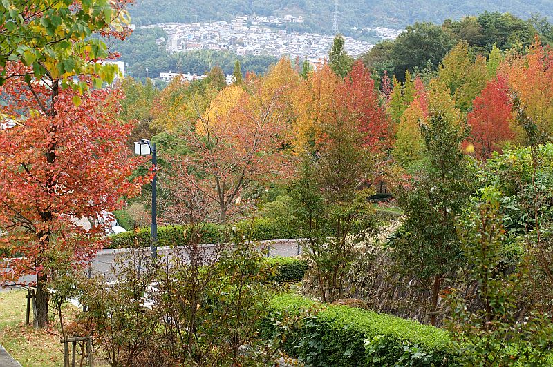 広島広域公園