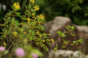 秋分の植物公園