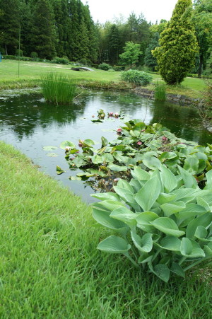 湧永庭園
