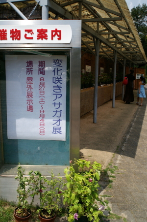 広島市植物公園で