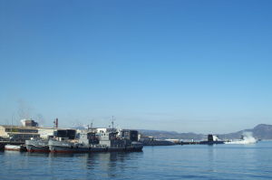 花と護衛艦 花と護衛艦