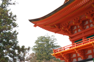 広島不動院の花