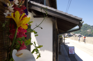 呉市御手洗で花撮り