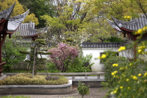 中央公園の渝華園へ