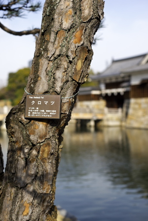 広島城二の丸