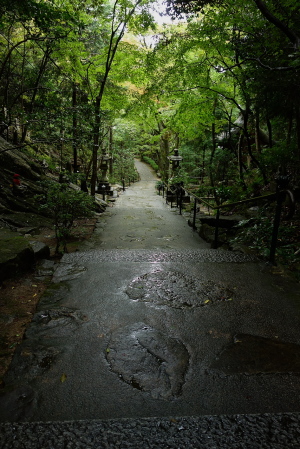 雨の三瀧寺