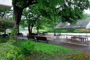 雨の植物公園