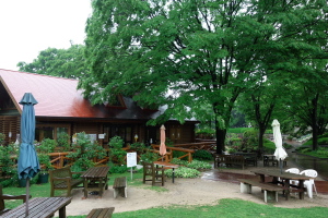 雨の植物公園