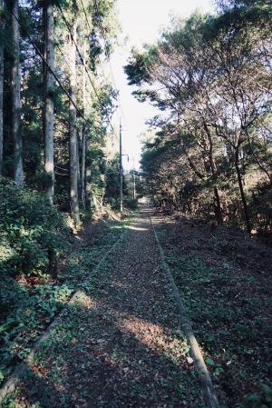 野呂山の氷池