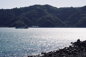 仁方港と広の海岸