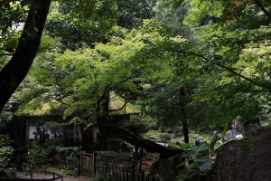 梅雨明け前の三瀧寺