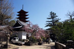 3月の花まとめ