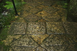 雨の三瀧寺