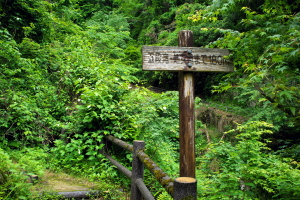 加計の深山峡-２