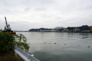 watching-瀬野川河口