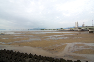 今朝撮った風景