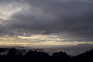今朝の雲海