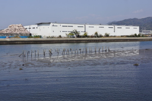 釣り場の障害物