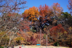 秋色・植物公園