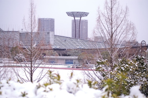 広域公園の雪景色