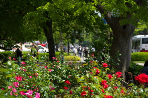広島の川と花祭りと