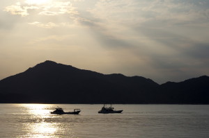 大竹沖のコイワシ漁