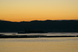 港の夜明け前