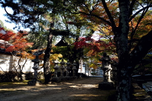 秋の仏通寺
