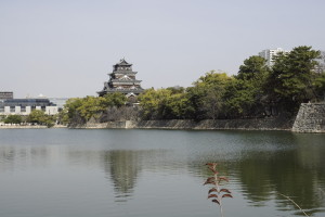 広島城の亀と桜と