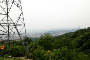 呉娑々宇山 林道