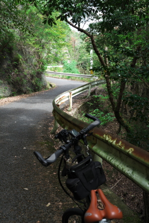 権現山へ