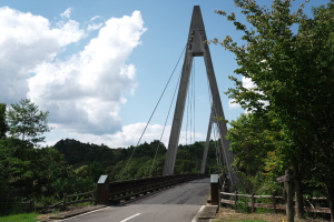 中央森林公園サイクリング