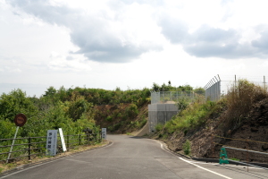 中央森林公園サイクリング