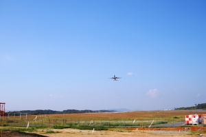 BESVで中央森林公園