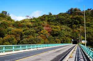 長編・温井ダム湖一周