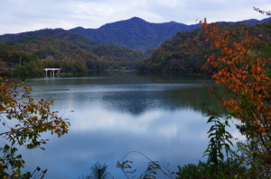 渡ノ瀬貯水池一周