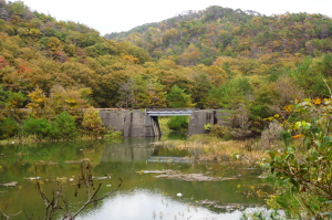 渡ノ瀬貯水池一周