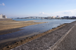 或日の24ミリ広角