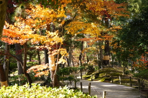 今日の縮景園