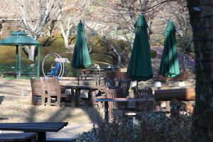 単焦点135mmの植物公園