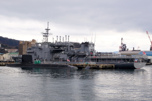自衛隊艦艇と雪景色