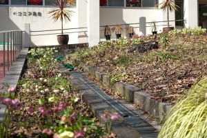 植物公園・直近の見どころ