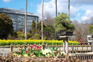 植物公園・直近の見どころ