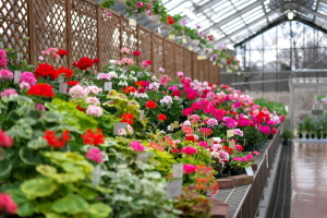 植物公園・直近の見どころ