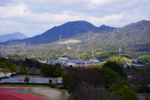 広島広域公園の梅園