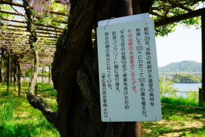 三永水源地＆福成寺
