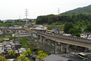 α99＆ご近所の花巡り