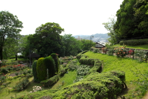 牛田のバラ園へ