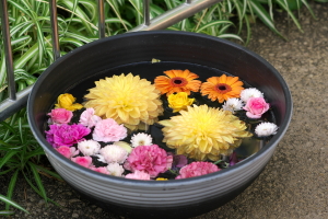 花手水